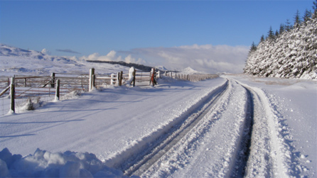 snow_leeanne_hughes.jpg