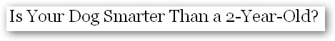 New York times headline