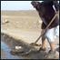 ويالې او ماينونه