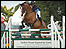 Show jumping