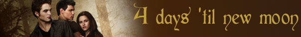 4 Days To New Moon