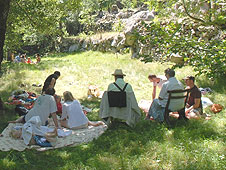 Picnic