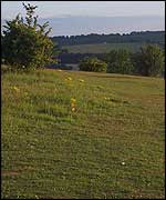 Twyford Down