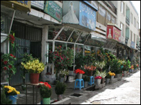 گلفروشی