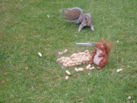 glasssquirrel.jpg