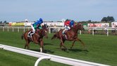 Horses racing...