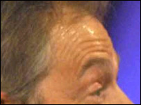 thefurrowedbrow.jpg