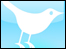 twitter bird