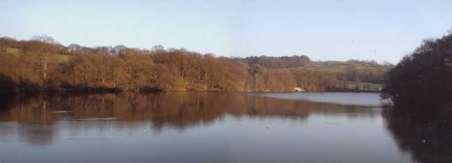 Knypersley Pool