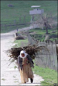 turkey_ap_203.jpg