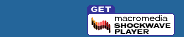 Download Latest Flash Plugin