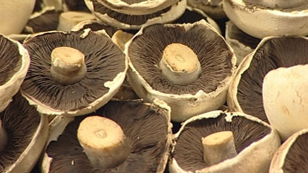 Mushrooms