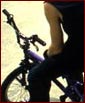 Flatland