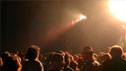 Theme: Life