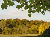 autumnal view