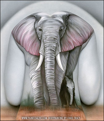 Elefante
