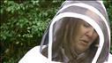 Out with the bees
