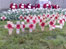 Tribute to fallen soldiers
