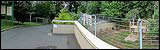 Dudley Zoo 2