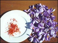 زعفران