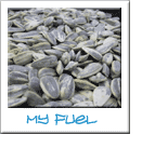 Justin's Fuel