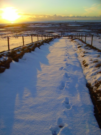 footsteps