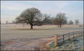 Bradfield