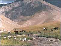 قرقيزستان