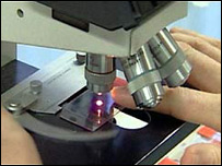 Microscópio