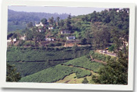 Kerala, India