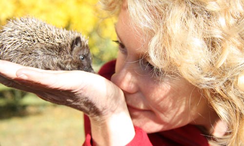 hedgehog-kate2.jpg