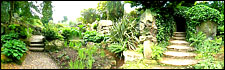 Biddulph Grange - The view from within the Glen