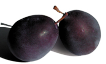 Plums