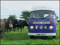 Campervan in field of cows
