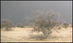 The rains are coming.