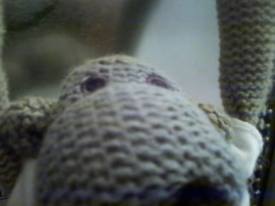 Monkey