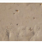 Review of 13 Friendly Numbers Review of 13 Friendly Numbers