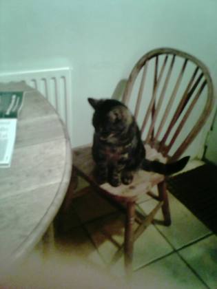 Patsy