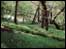 Deep Hayes Country Park