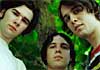 The Cribs