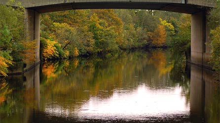river_taff.jpg