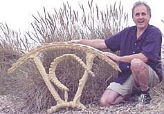 Patrick Elder