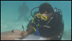 President Mohamed Nasheed