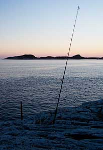 Out fishing