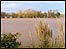 Flooded River Tone