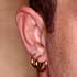 Ear