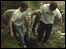 Volunteers remove the stone from the Annalong river