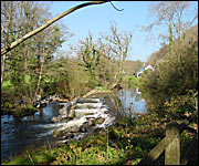 The Teign Valley