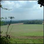 Field