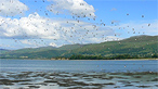 Traeth Lafan. Image by Mandy Marsh, Nature Cymru.